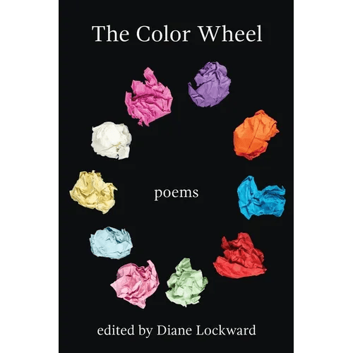 The Color Wheel - Paperback - iShook Books