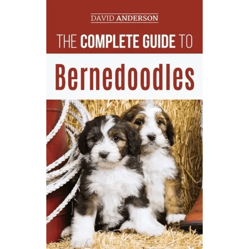 The Complete Guide to Bernedoodles: Everything you need to know to successfully raise your Bernedoodle puppy! - Hardcover - iShook Books