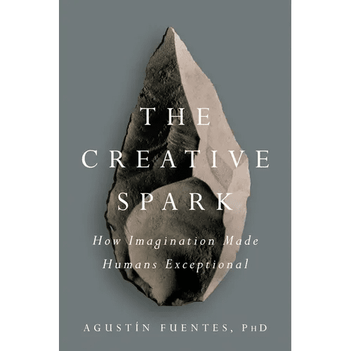 The Creative Spark: How Imagination Made Humans Exceptional - Hardcover - iShook Books