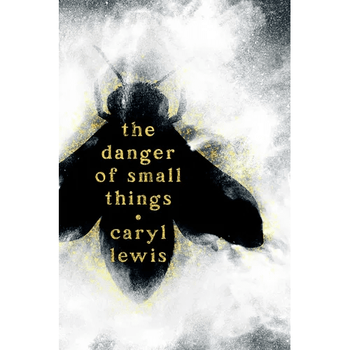 The Danger of Small Things - Hardcover - iShook Books