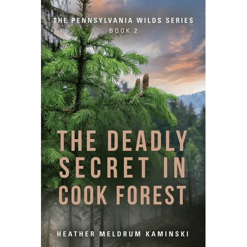 The Deadly Secret in Cook Forest: The Pennsylvania Wilds Series - Book 2 - Paperback - iShook Books