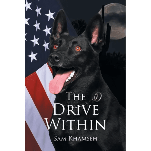 The Drive Within - Paperback - iShook Books