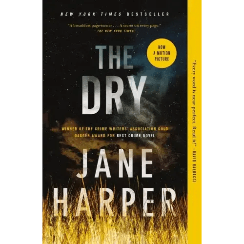 The Dry - Paperback - iShook Books