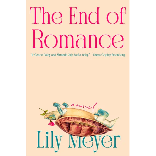 The End of Romance - Hardcover - iShook Books