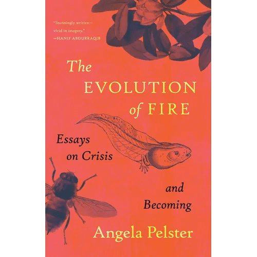 The Evolution of Fire: Essays on Crisis and Becoming - Paperback - iShook Books
