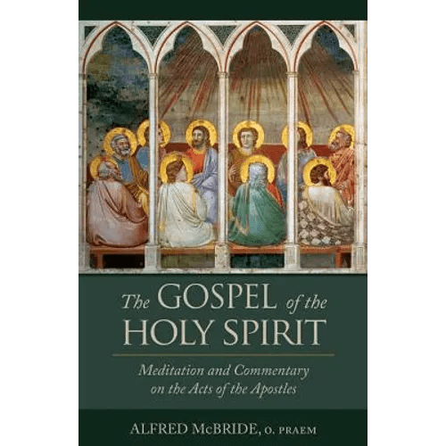 The Gospel of the Holy Spirit: Meditation and Commentary on the Acts of the Apostles - Paperback - iShook Books