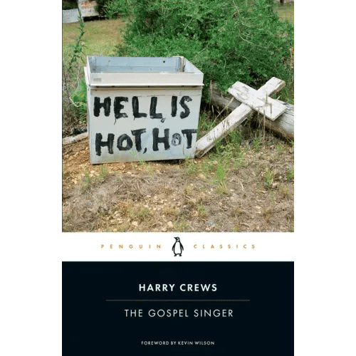 The Gospel Singer - Paperback - iShook Books