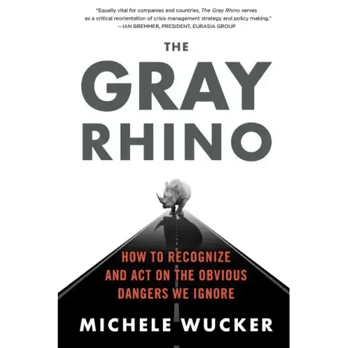 The Gray Rhino - Paperback - iShook Books