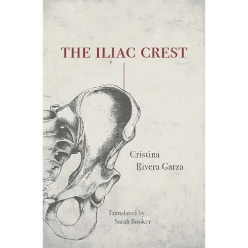 The Iliac Crest - Paperback - iShook Books