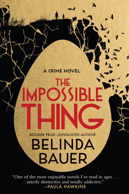 The Impossible Thing - iShook Books