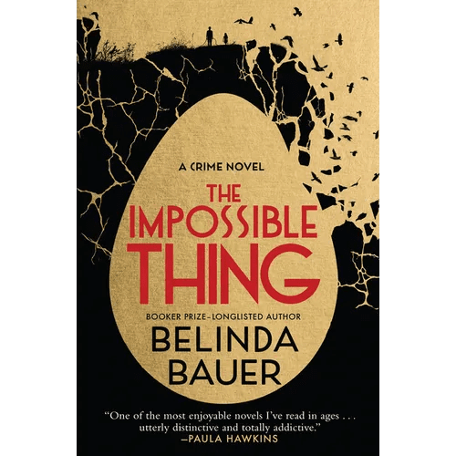 The Impossible Thing - Hardcover - iShook Books