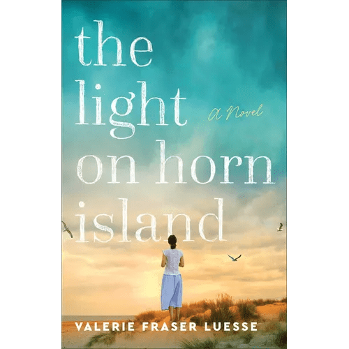 The Light on Horn Island - Paperback - iShook Books