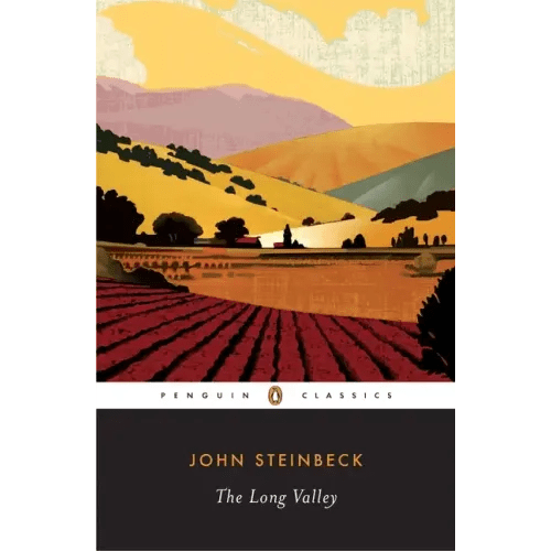 The Long Valley - Paperback - iShook Books
