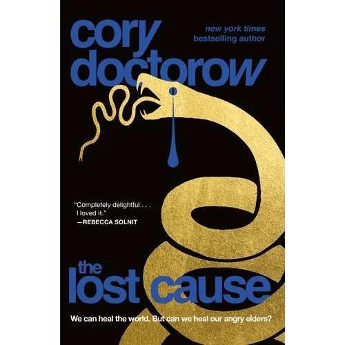 The Lost Cause - Paperback - iShook Books