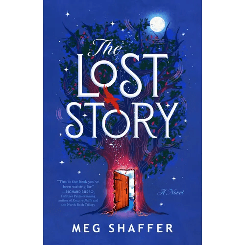 The Lost Story - Paperback - iShook Books