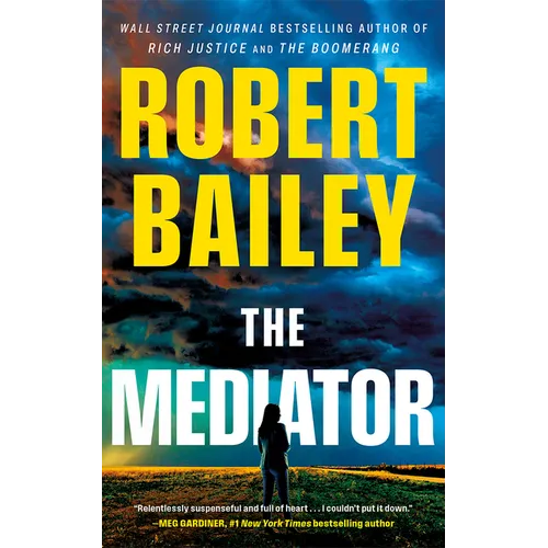 The Mediator - Paperback - iShook Books