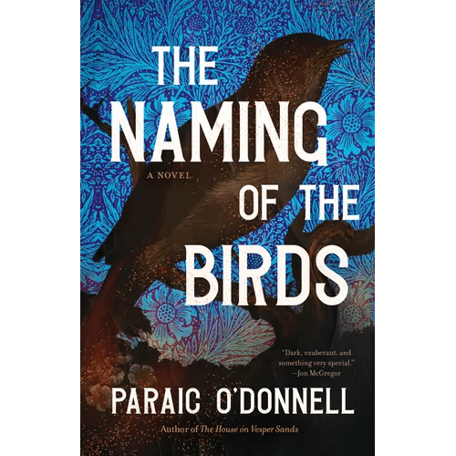 The Naming of the Birds - Hardcover - iShook Books