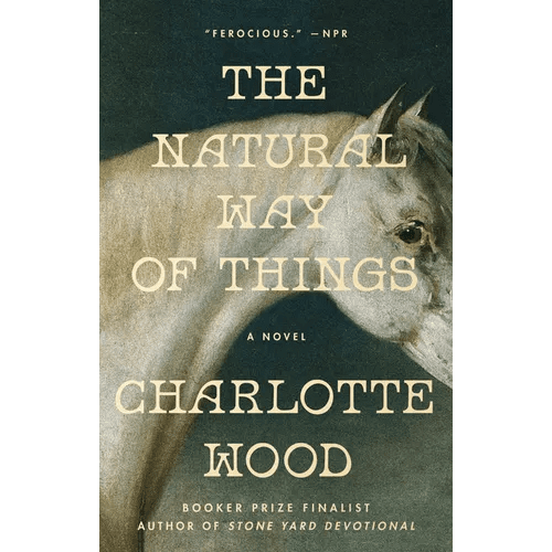 The Natural Way of Things - Paperback - iShook Books
