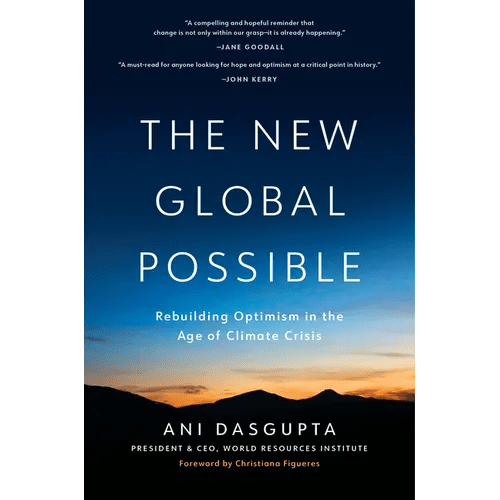 The New Global Possible: Rebuilding Optimism in the Age of Climate Crisis - Hardcover - iShook Books