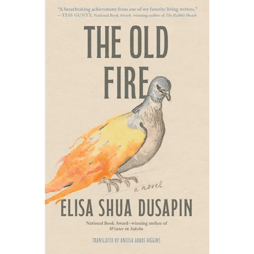 The Old Fire - Hardcover - iShook Books