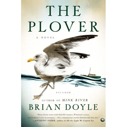The Plover - Paperback - iShook Books