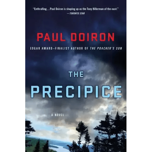 The Precipice - Paperback - iShook Books