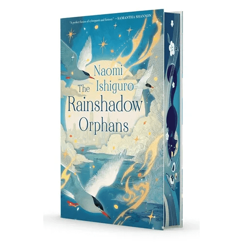 The Rainshadow Orphans: The Rainshadow Series, Book One - Hardcover - iShook Books