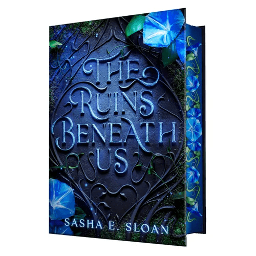 The Ruins Beneath Us - Hardcover - iShook Books