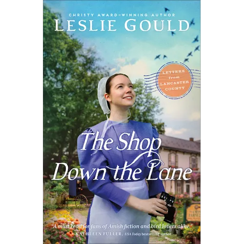 The Shop Down the Lane - Paperback - iShook Books