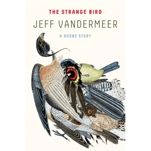 The Strange Bird: A Borne Story - Paperback - iShook Books