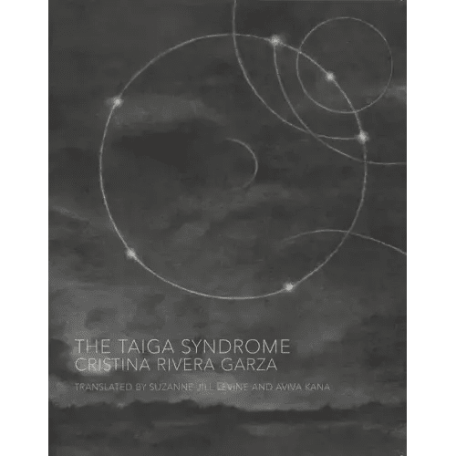 The Taiga Syndrome - Paperback - iShook Books