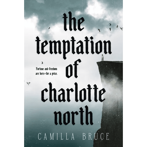 The Temptation of Charlotte North - Paperback - iShook Books
