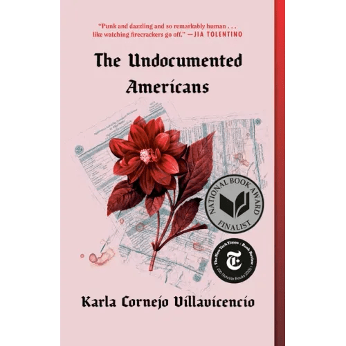 The Undocumented Americans - Paperback - iShook Books