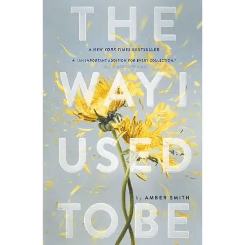 The Way I Used to Be - Paperback - iShook Books