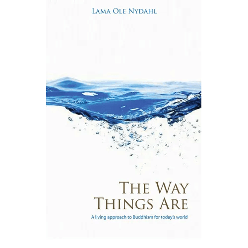 The Way Things Are - Paperback - iShook Books