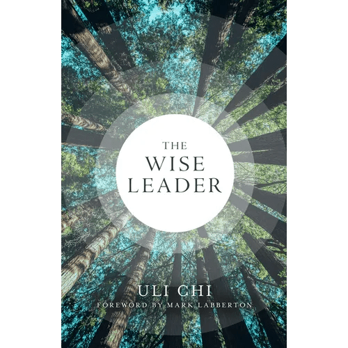 The Wise Leader - Paperback - iShook Books