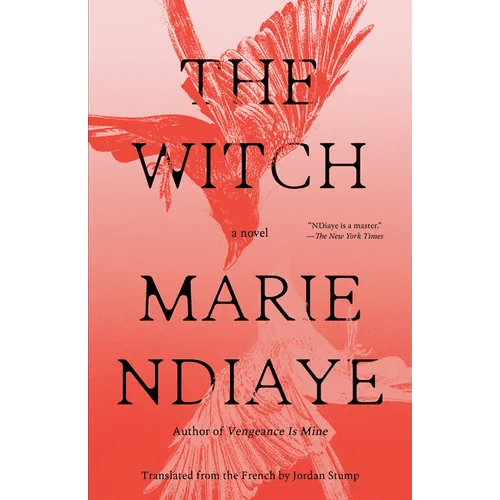 The Witch - Paperback - iShook Books