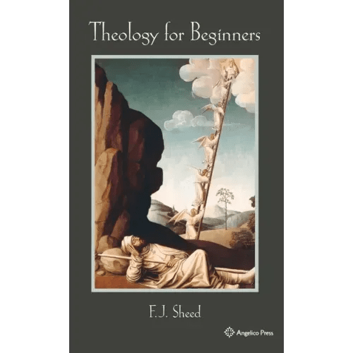 Theology for Beginners - Hardcover - iShook Books