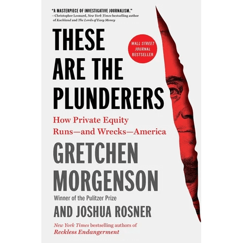 These Are the Plunderers: How Private Equity Runs - And Wrecks - America - Paperback - iShook Books