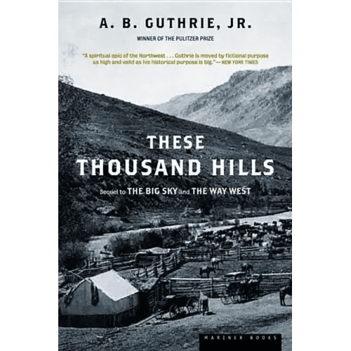 These Thousand Hills - Paperback - iShook Books