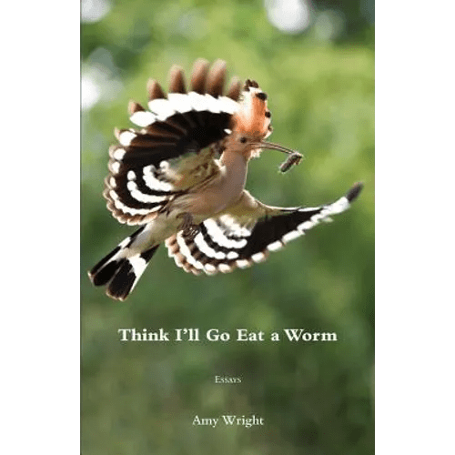 Think I'll Go Eat a Worm - Paperback - iShook Books