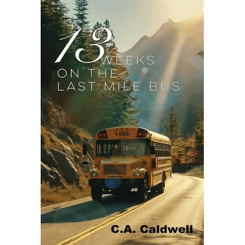 Thirteen Weeks On The Last Mile Bus - Paperback - iShook Books