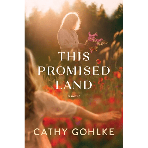 This Promised Land - Hardcover - iShook Books