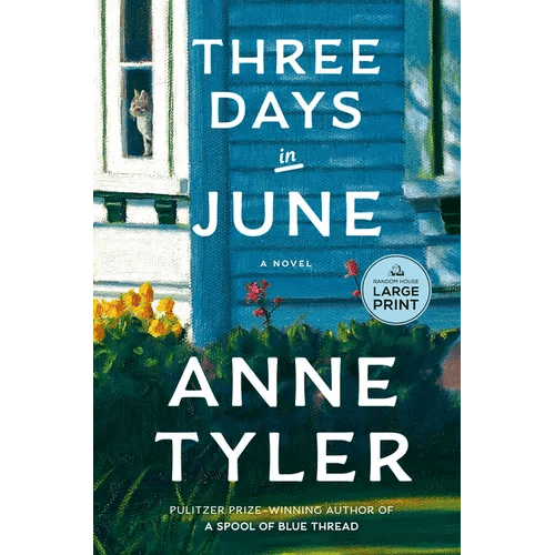 Three Days in June - Paperback - iShook Books