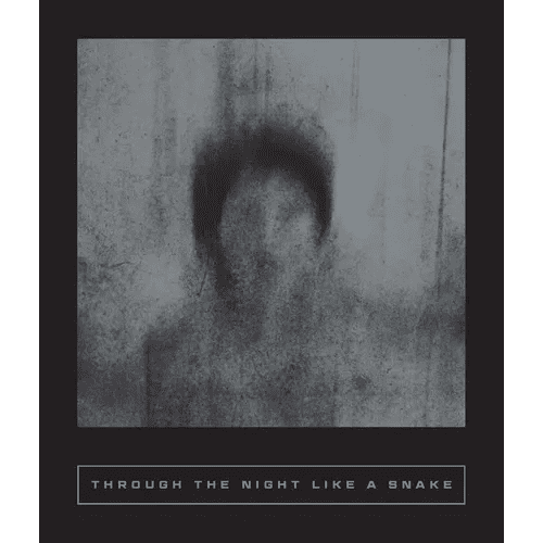 Through the Night Like a Snake: Latin American Horror Stories - Paperback - iShook Books