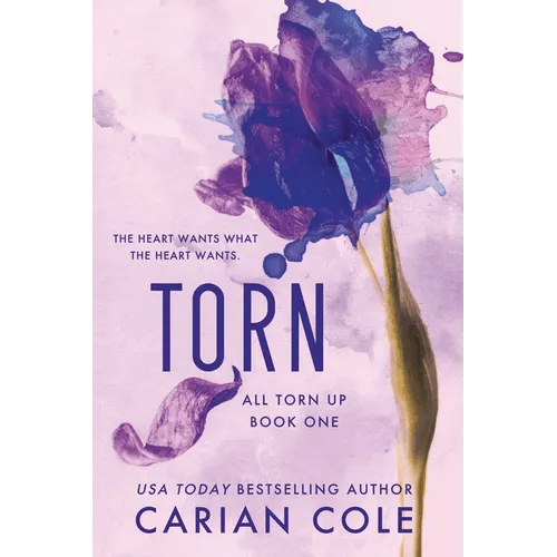 Torn - Paperback - iShook Books