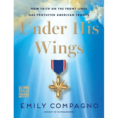 Under His Wings: How Faith on the Front Lines Has Protected American Troops - Hardcover - iShook Books