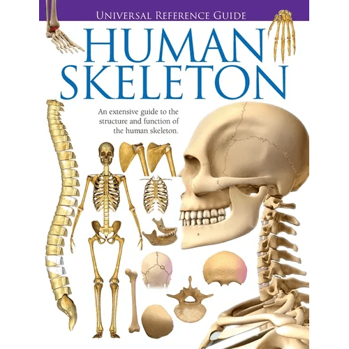 Universal Reference Guide - HUMAN SKELETON - Paperback - iShook Books