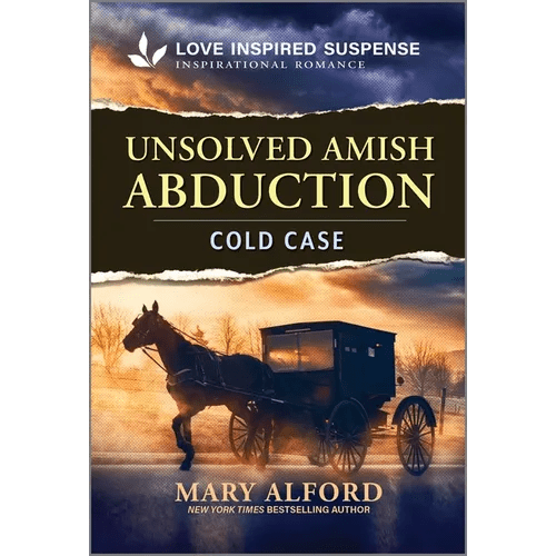 Unsolved Amish Abduction - Mass Market Paperbound - iShook Books