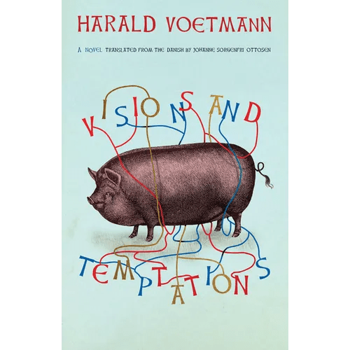 Visions and Temptations - Paperback - iShook Books